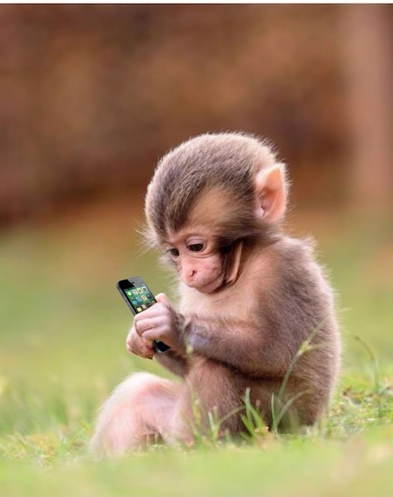 Monke, the canonical image